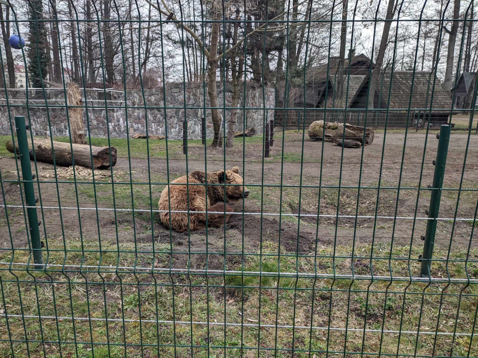 Akcent ZOO, fot. Hanna Kość