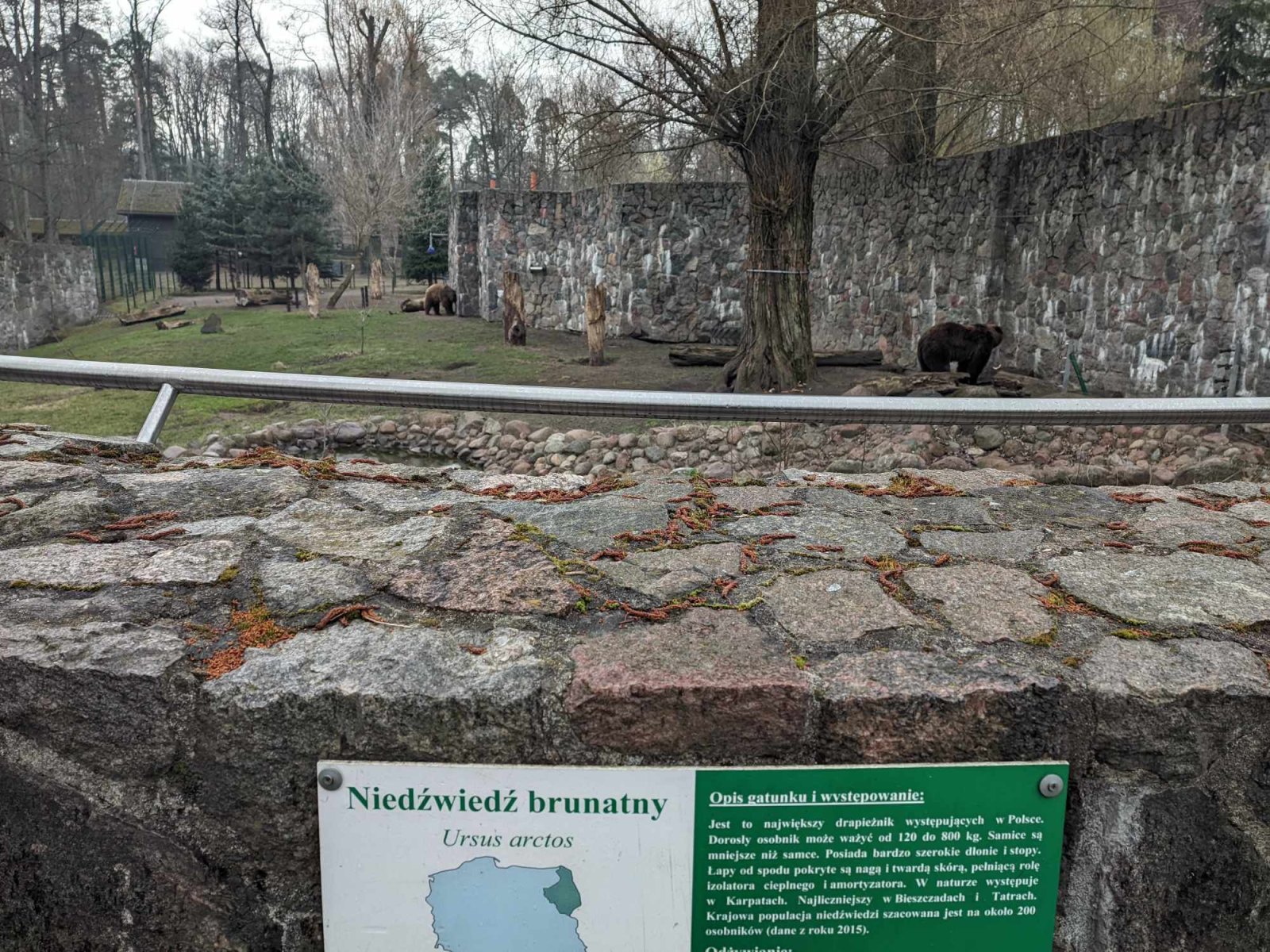 Akcent ZOO, fot. Hanna Kość