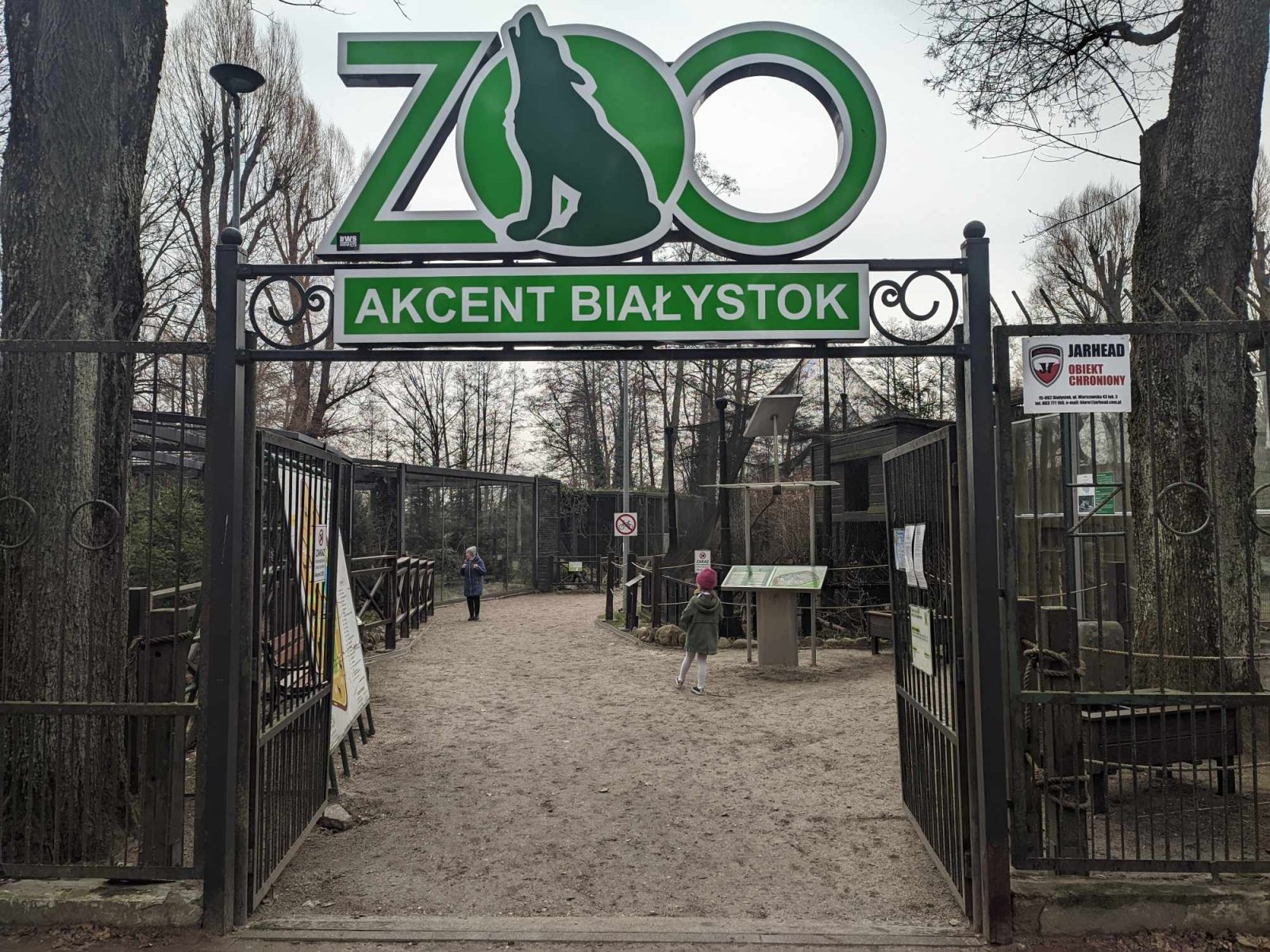 Akcent ZOO, fot. Hanna Kość