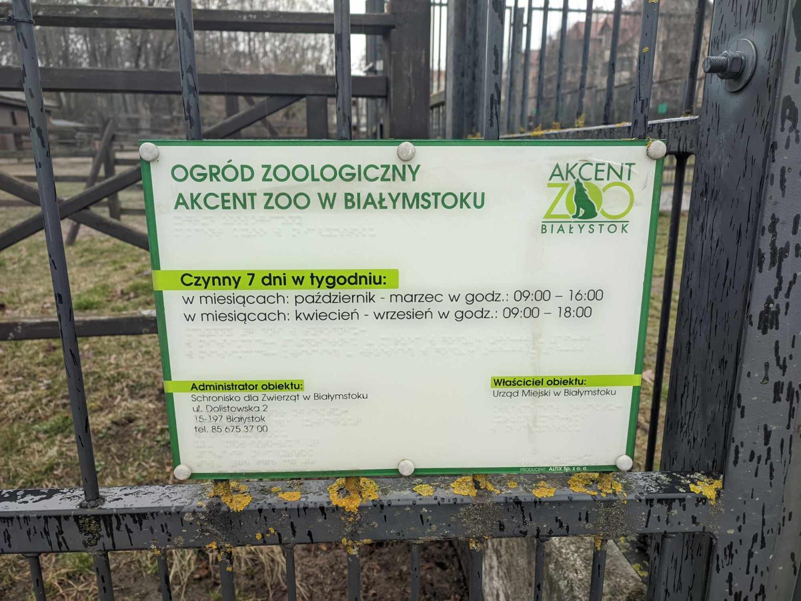 Akcent ZOO, fot. Hanna Kość