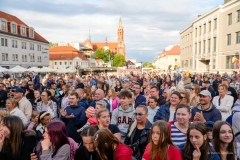 Zdjęcie 7 z 19