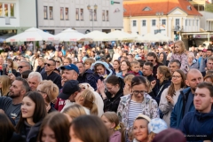 Zdjęcie 17 z 19