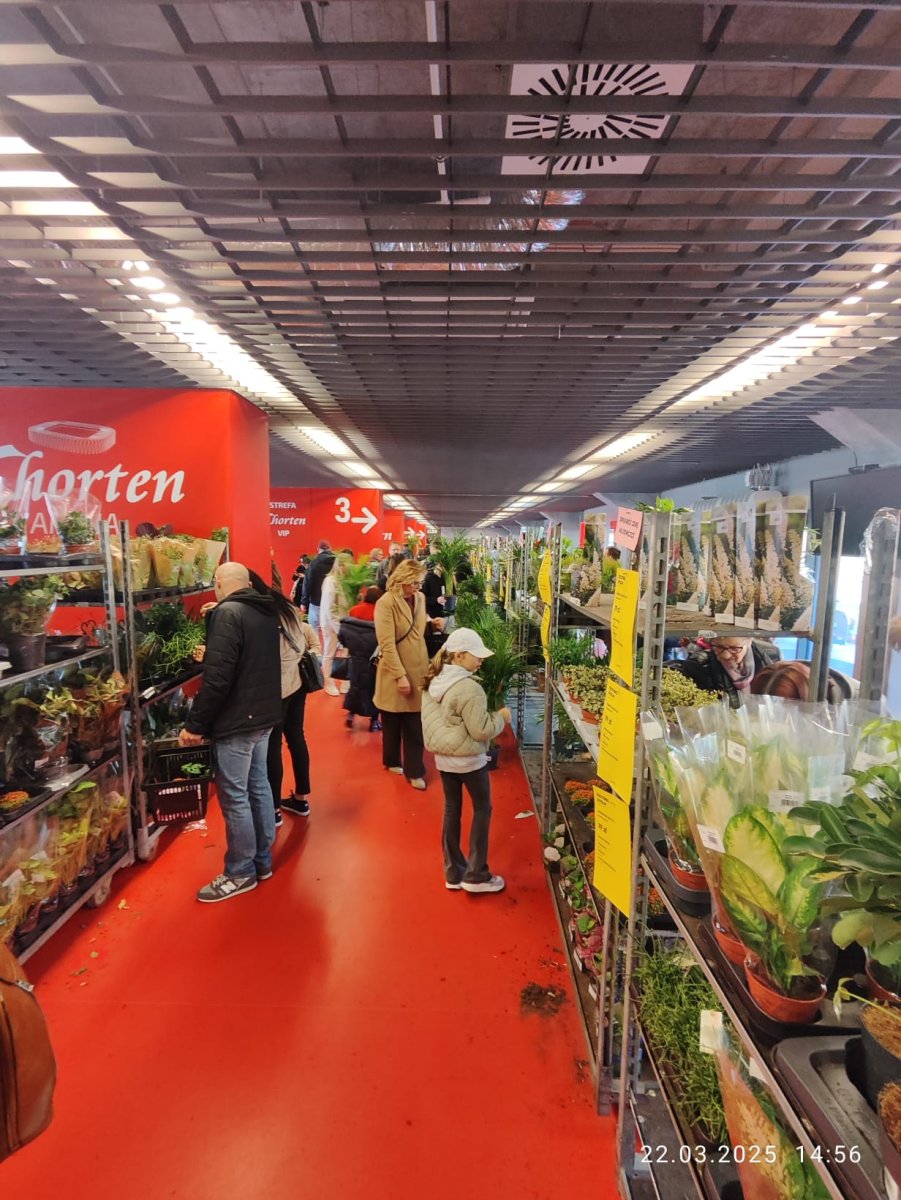 festiwal-roslin-zielonych-17
