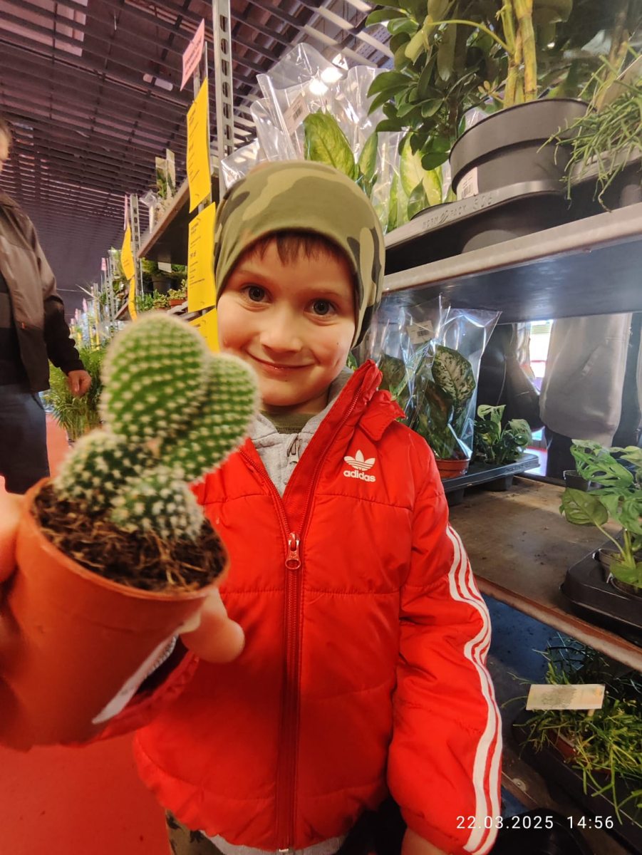 festiwal-roslin-zielonych-19