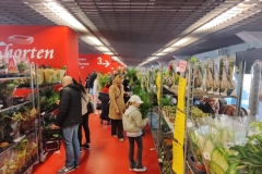 Zdjęcie 18 z 21
