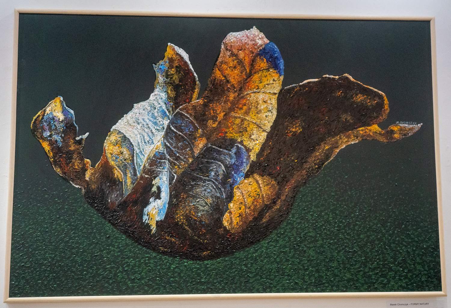 Galeria Marchand Prezentacje IV, fot. Jerzy Doroszkiewicz.