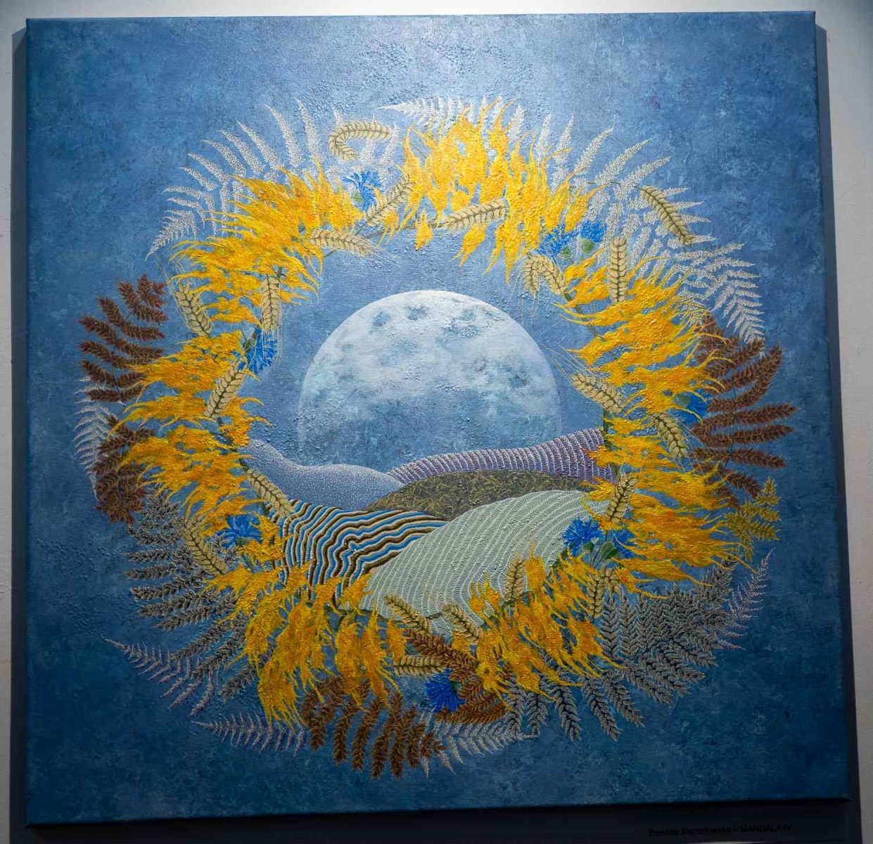 Galeria Marchand Prezentacje IV, fot. Jerzy Doroszkiewicz.