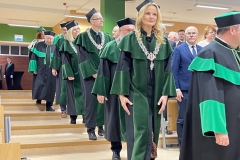 Zdjęcie 15 z 26