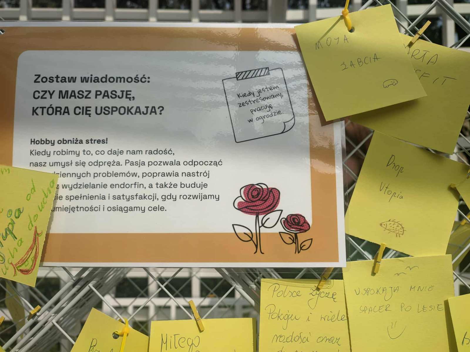 Inauguracja kampanii Żółta Kanapa, fot. Hanna Kość