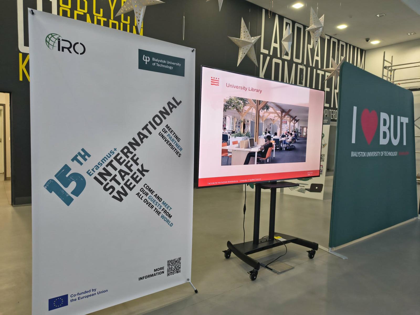 Cultural Stand, fot. Hanna Kość
