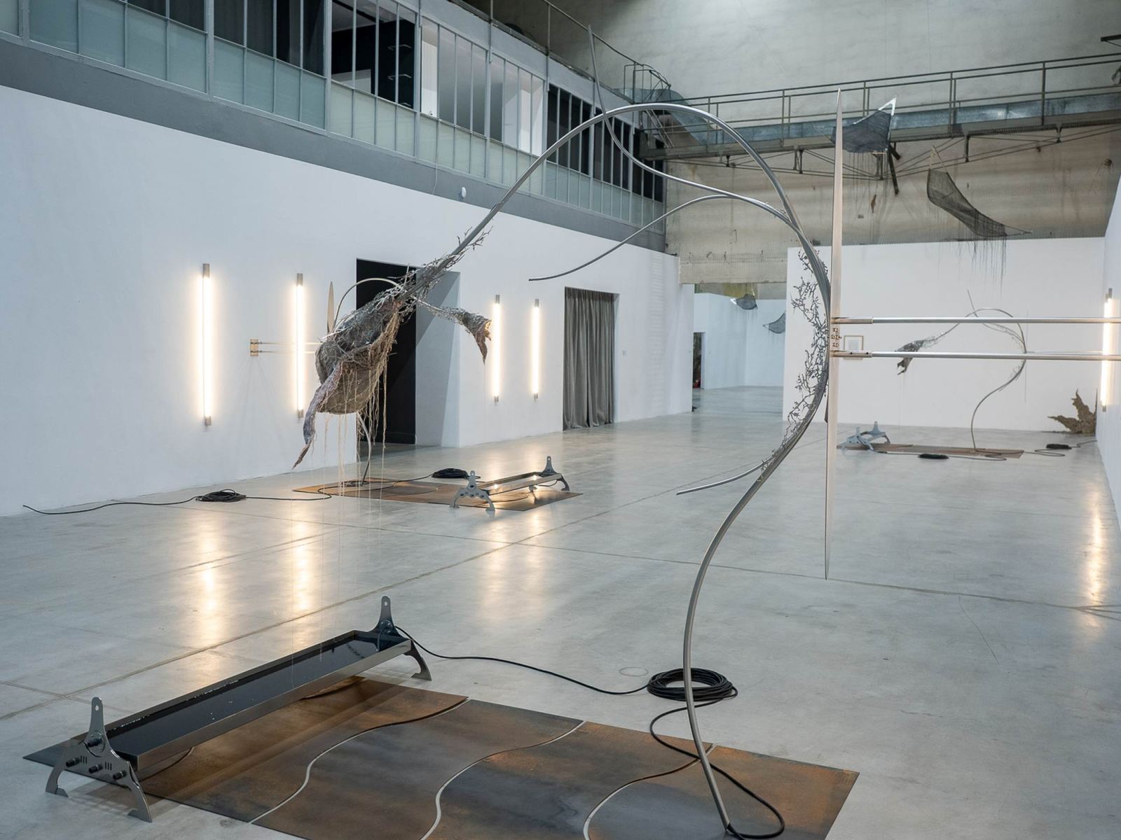 Galeria Arsenał, Kukania, fot. Jerzy Doroszkiewicz