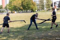 Zdjęcie 56 z 101