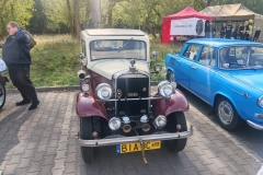 Zdjęcie 15 z 29