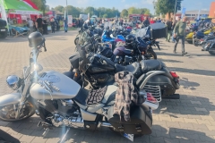 Zdjęcie 20 z 29