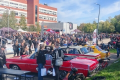 Zdjęcie 9 z 15