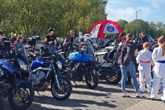 Zdjęcie 14 z 15