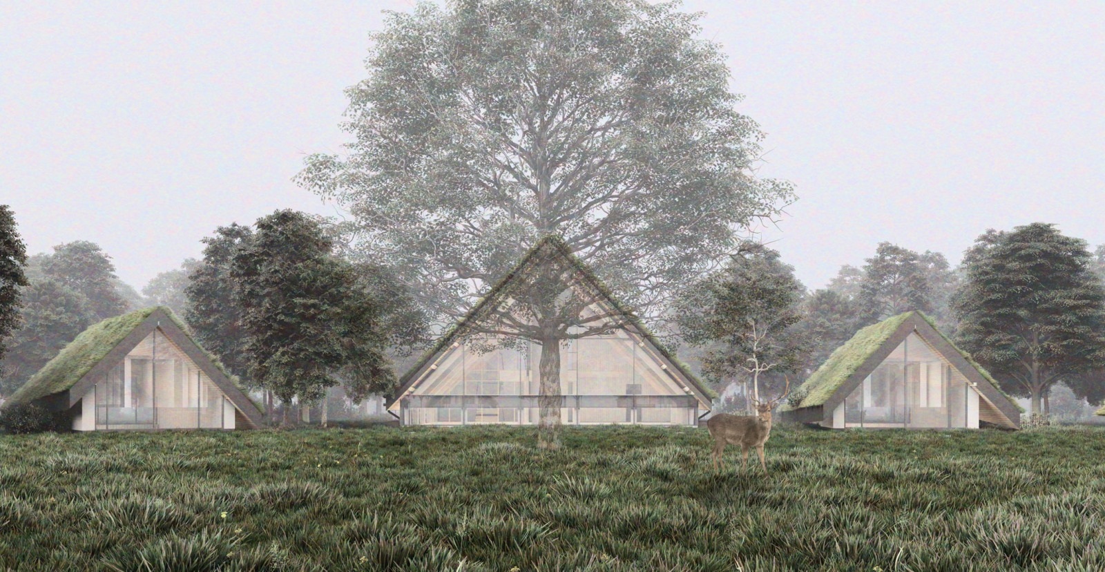Projekt Muzejon. Muzeum Pamięci Romów - wizualizacja. Autor: T