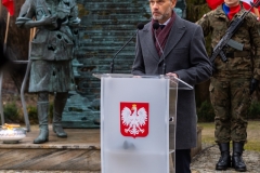 Zdjęcie 3 z 13