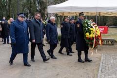 Zdjęcie 13 z 13