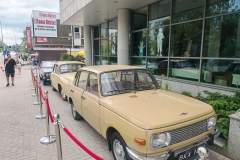 Zdjęcie 7 z 19