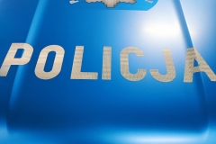 Zdjęcie 9 z 13