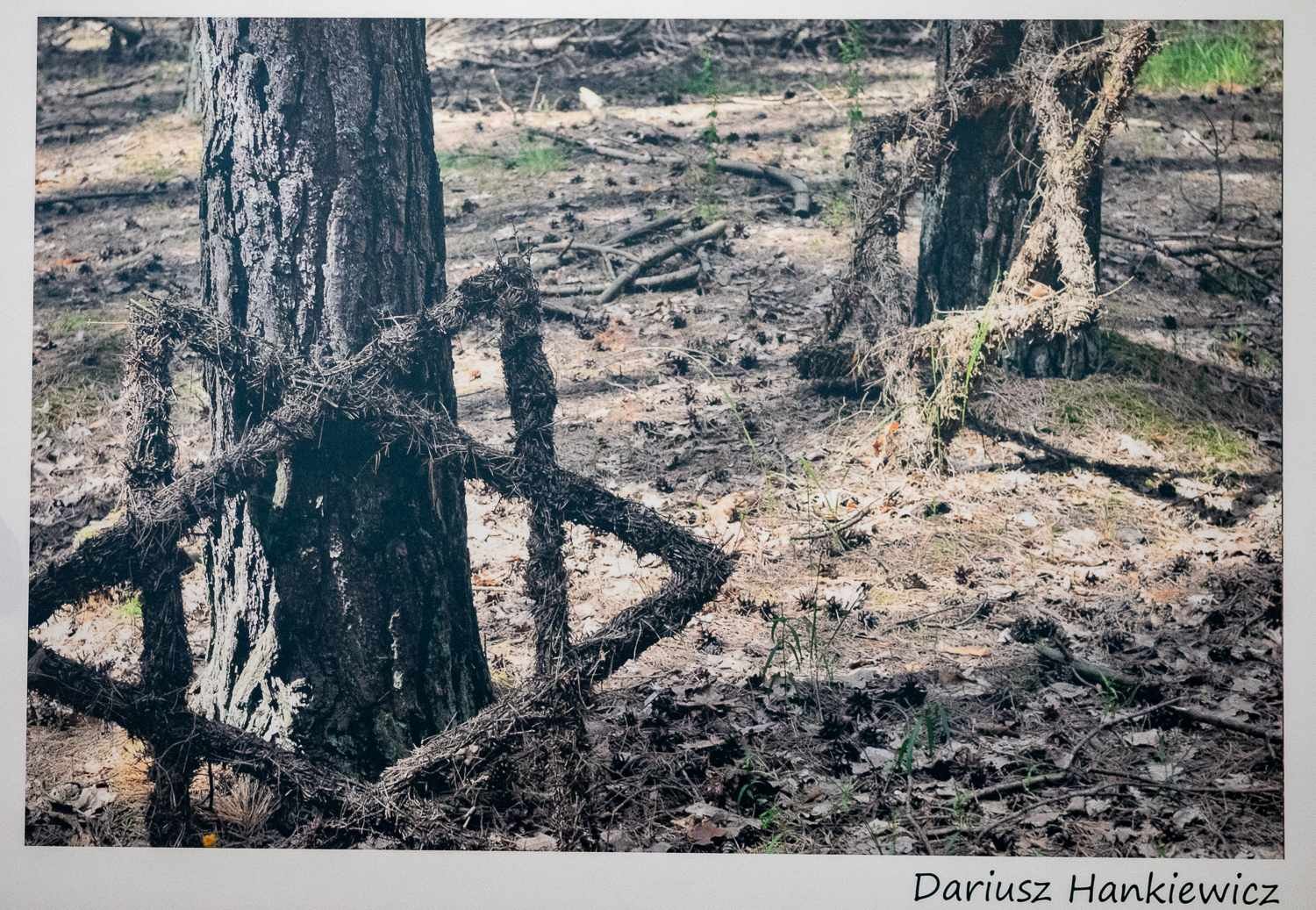 Okręgowa Izba Lekarska - wystawa fotografi, fot. Jerzy Doroskiewicz