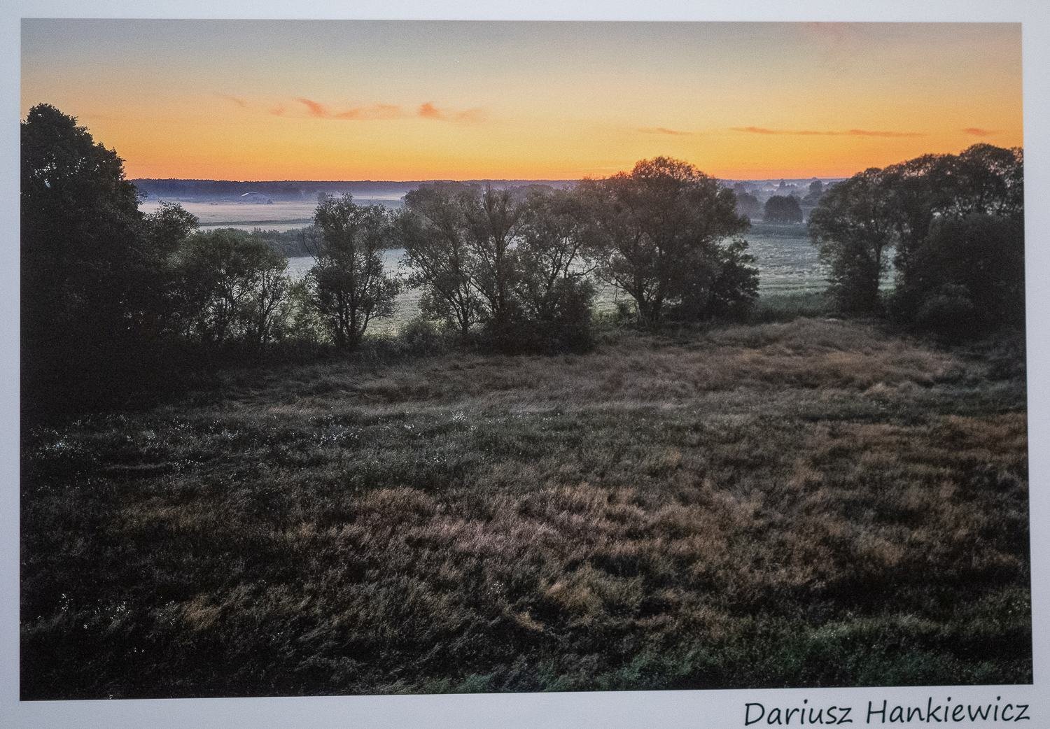 Okręgowa Izba Lekarska - wystawa fotografi, fot. Jerzy Doroskiewicz