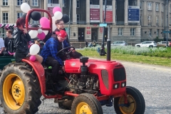 Zdjęcie 16 z 22