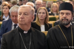 Zdjęcie 92 z 252
