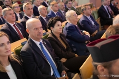 Zdjęcie 110 z 252