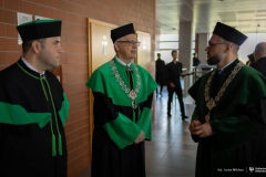Zdjęcie 7 z 252