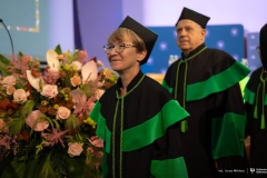 Zdjęcie 17 z 252