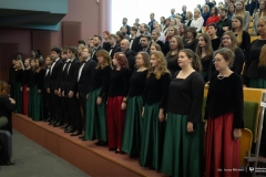 Zdjęcie 30 z 252