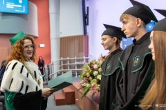 Zdjęcie 233 z 252