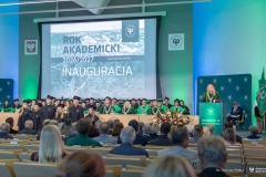Zdjęcie 28 z 41