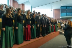 Zdjęcie 3 z 41