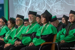 Zdjęcie 7 z 41