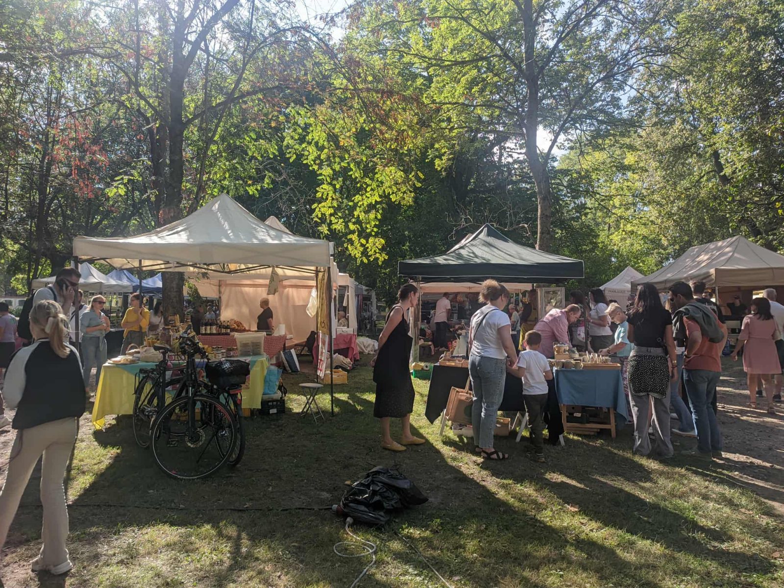 Piknik z okazji 80-lecia PKS Nova, fot. Hanna Kość