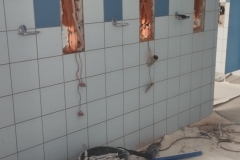 Zdjęcie 31 z 35