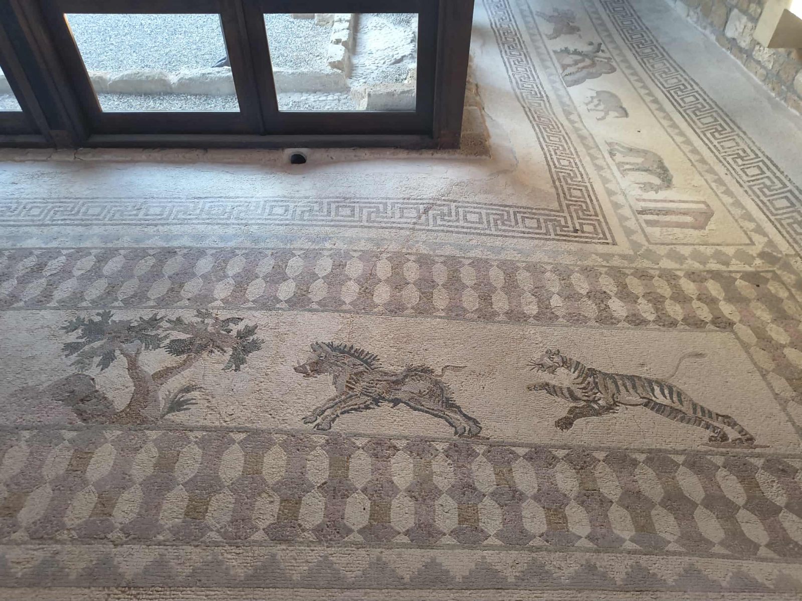 Podróże z Erasmusem na Cyprze, fot. Hanna Kość