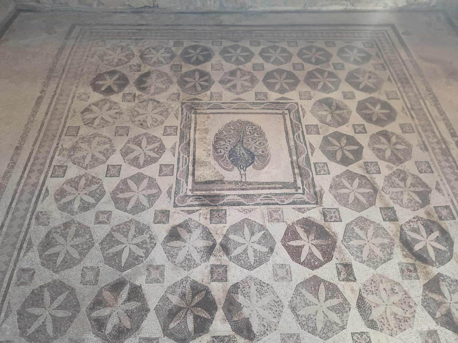 Podróże z Erasmusem na Cyprze, fot. Hanna Kość