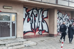 Zdjęcie 4 z 14