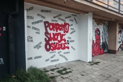Zdjęcie 5 z 14