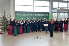 Zdjęcie 13 z 21