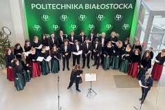 Zdjęcie 14 z 21
