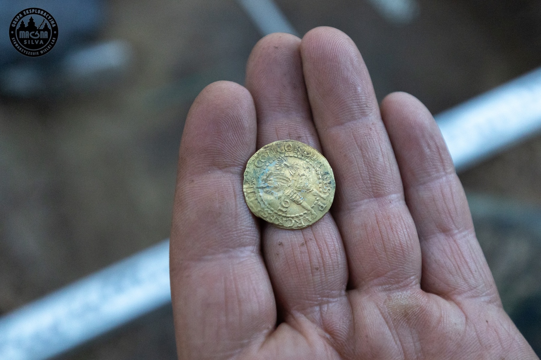 Oto moment, w którym historia wraca do świata żywych – złoty dukat z XVII wieku w rękach odkrywcy, źródło: Magna Silva/FB