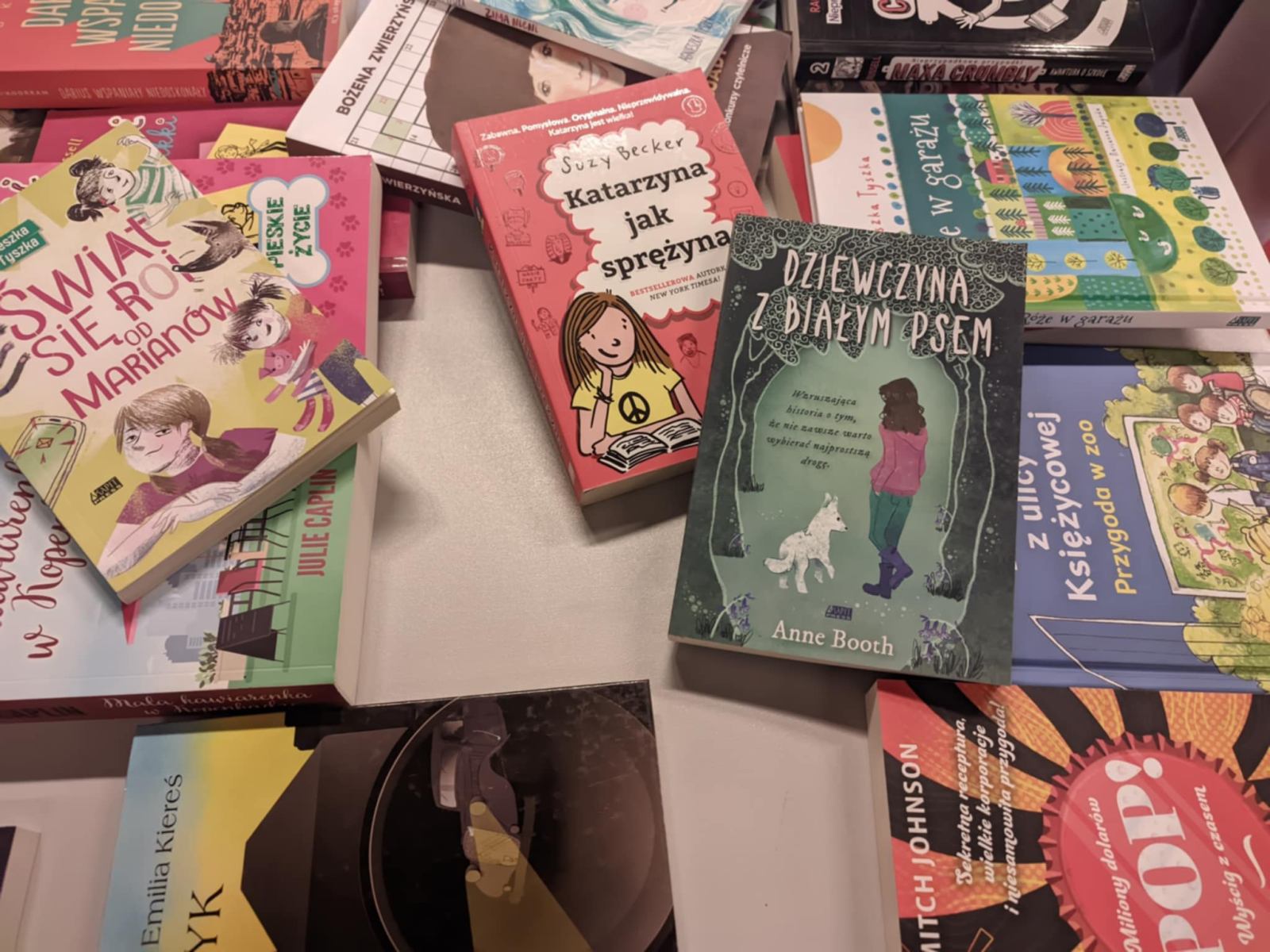 Targi Książki i Festiwal Literacki, fot. Hanna Kość