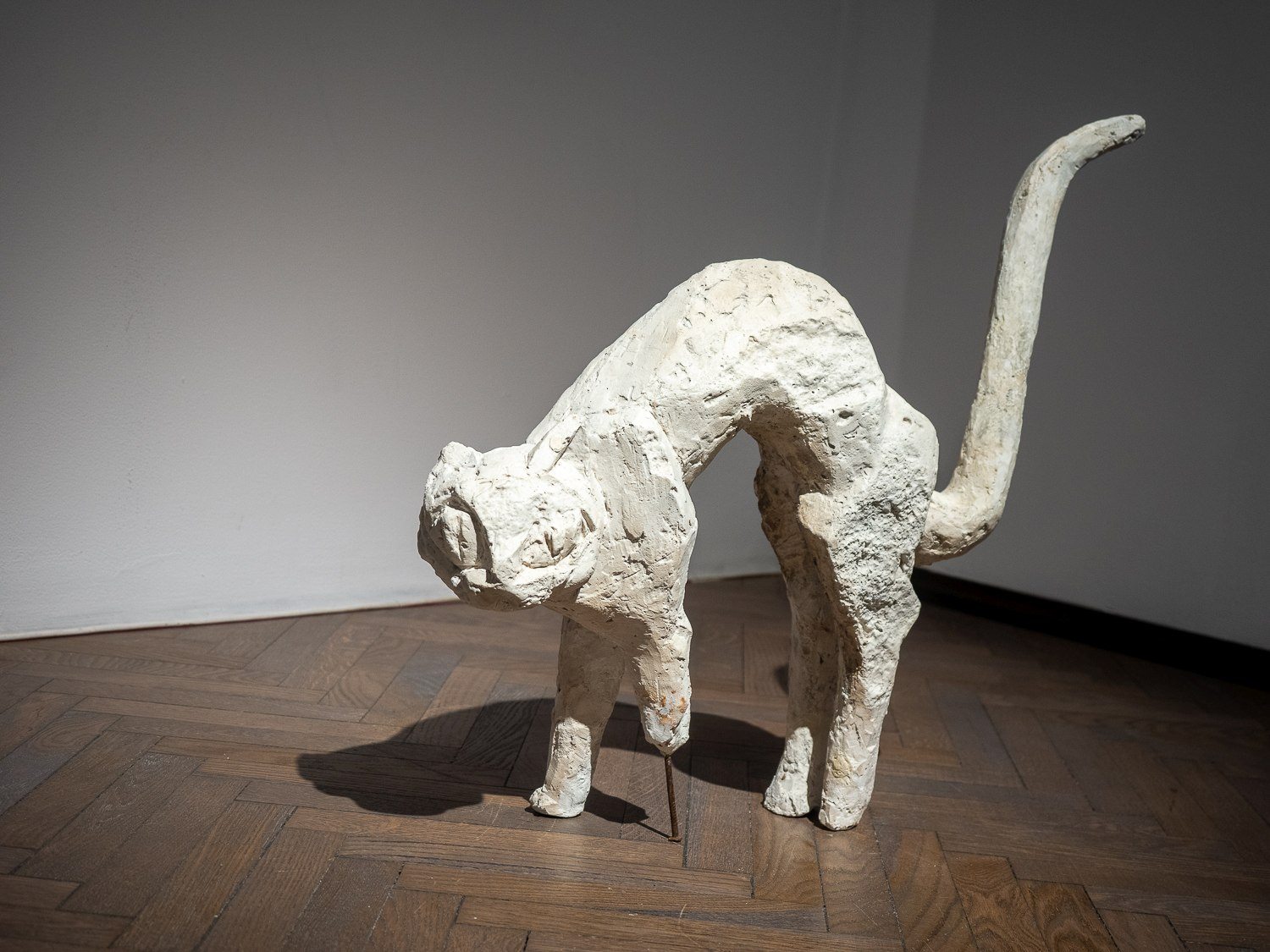Galeria Arsenał. Wanda Czełkowska, fot. Jerzy Doroszkiewicz