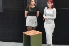 Zdjęcie 12 z 20