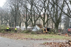 Zdjęcie 9 z 14